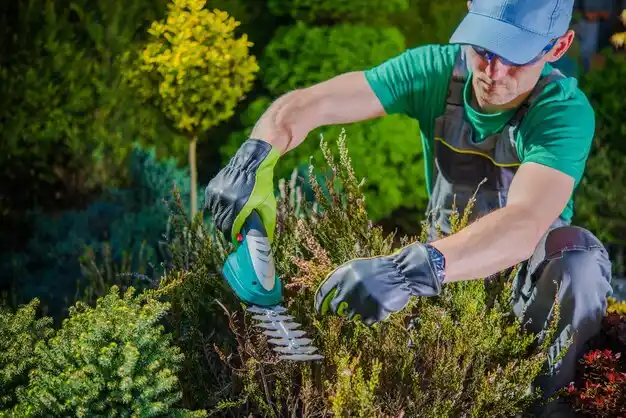 landscaping services West Elmira